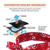 Ergodyne - Cooling Bandana, Tie Western 12305, Red | ERCBT6700RR0000